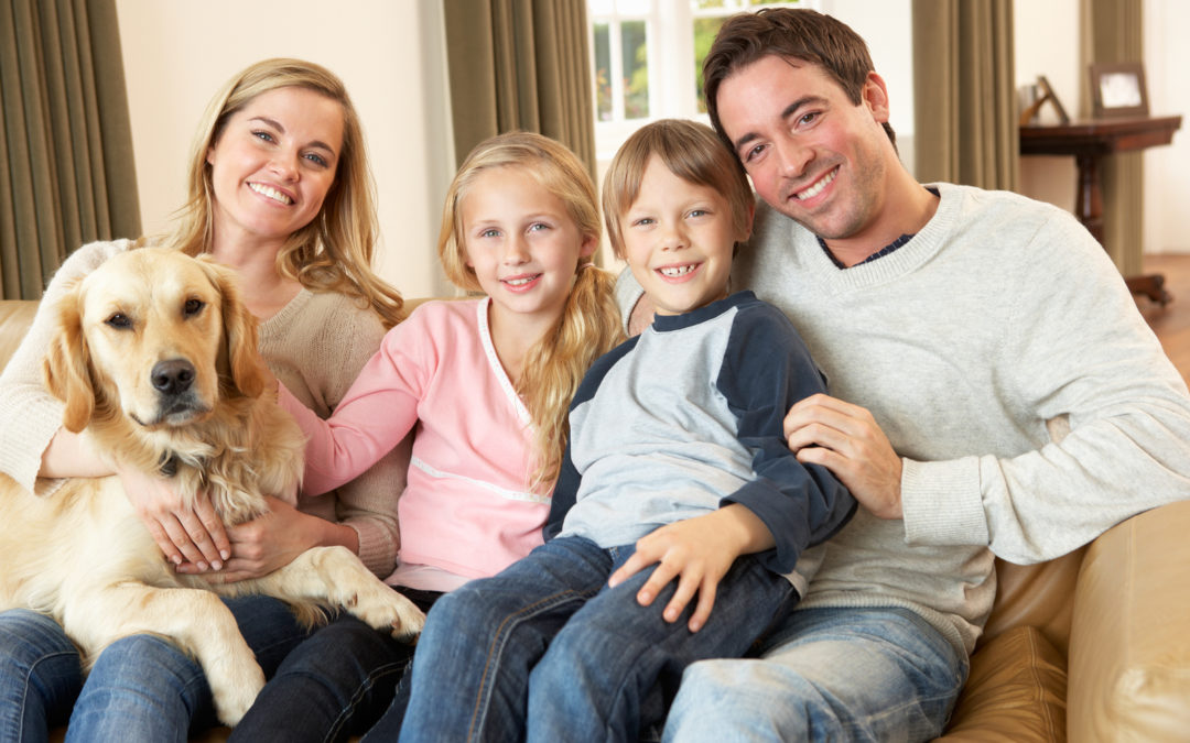 How to Maximize Energy Efficiency This Fall