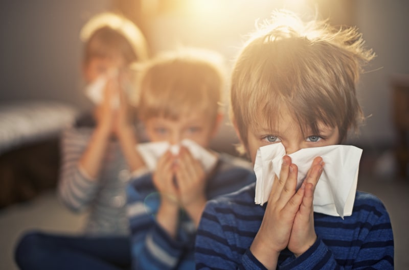 How Can an Air Purifier Improve Your Air Quality in Indiana, PA?